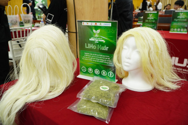 sản phẩm tóc giả làm từ cây lưỡi hổ của nhóm Liho Hair.