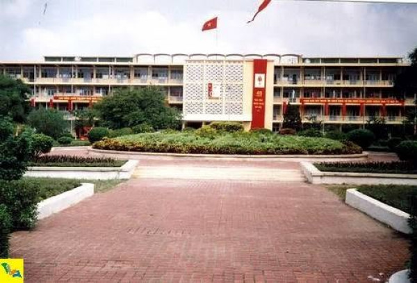 1995–1999: KHI NHỮNG NHÁNH MỚI BẮT ĐẦU THÀNH HÌNH
