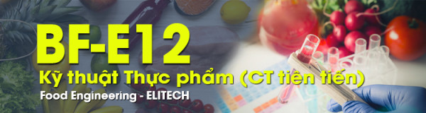 [BF-E12] Điểm đến sau tốt nghiệp