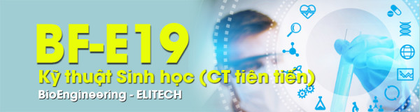 [BF-E19] Điểm đến sau tốt nghiệp