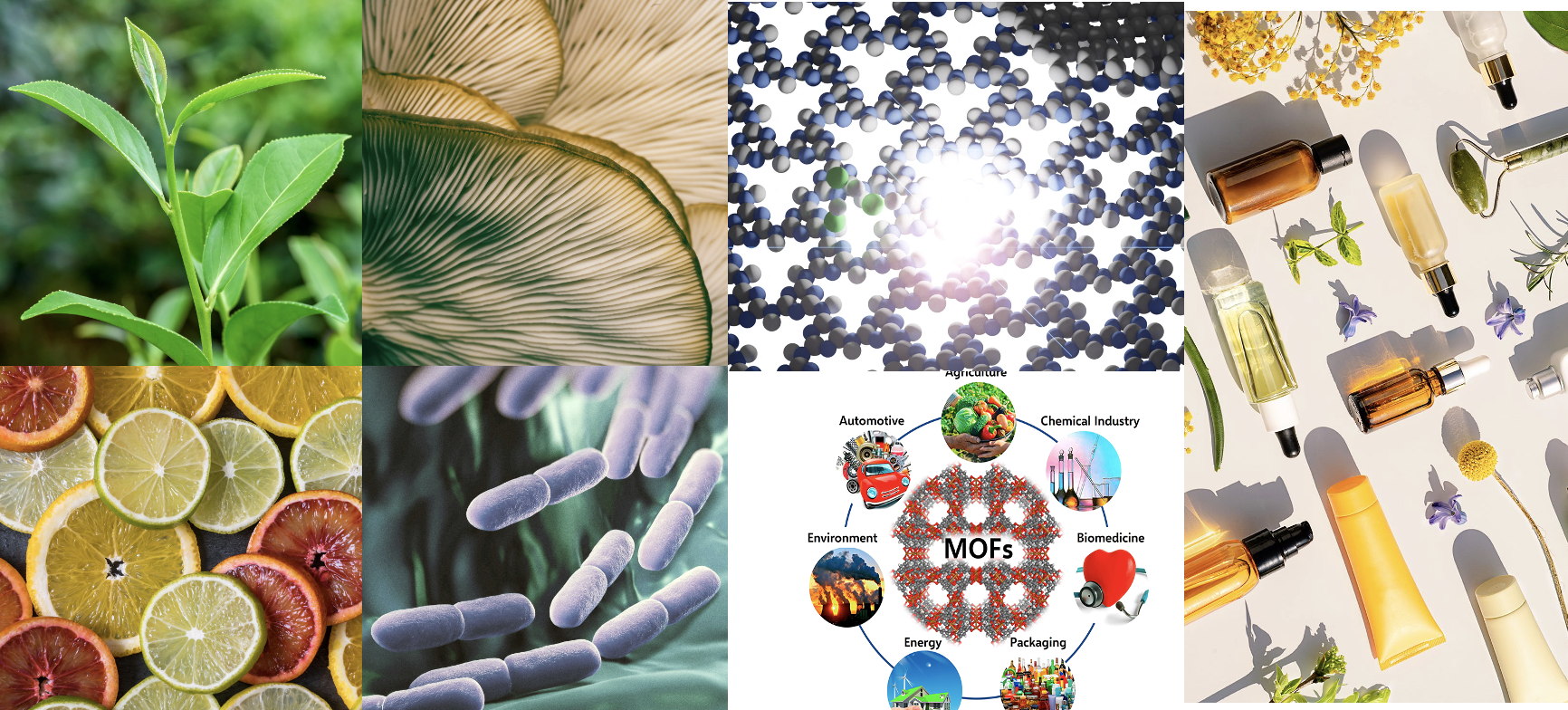 Group of Organic Chemistry