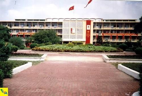 1995–1999: KHI NHỮNG NHÁNH MỚI BẮT ĐẦU THÀNH HÌNH
